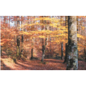 LEUL - GAMME PATRIMOINE